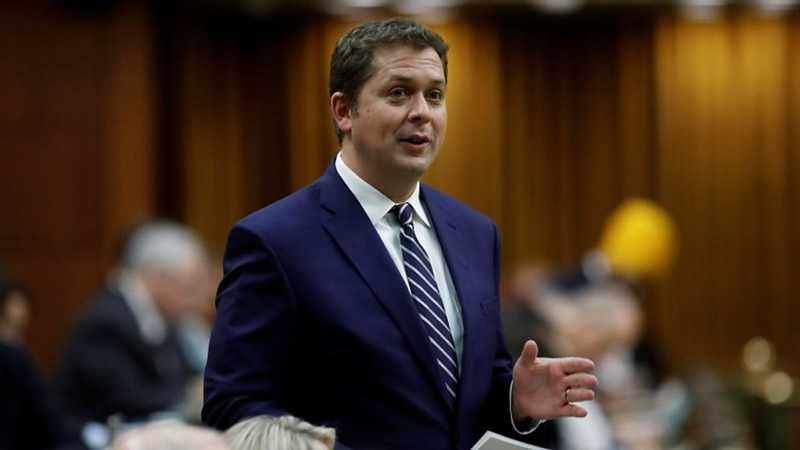 Andrew Scheer 安德鲁·谢尔 Andrew Scheer 安德鲁·谢尔