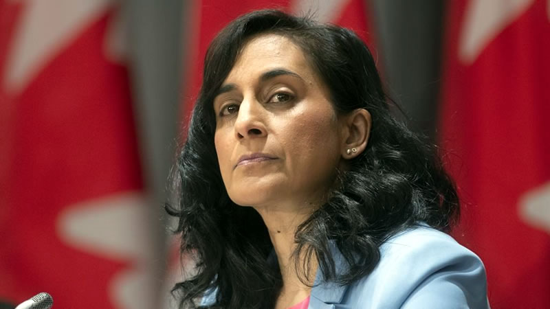 加拿大外交部长阿南德 Canada Foreign Minister Anita Anand